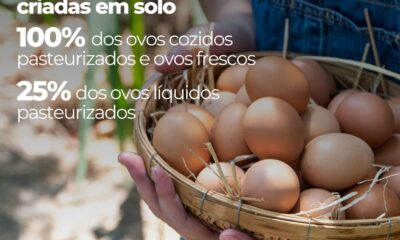 Dia da Gastronomia Sustentável